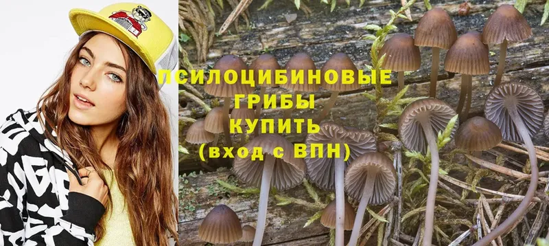 купить закладку  Оренбург  Галлюциногенные грибы Cubensis 